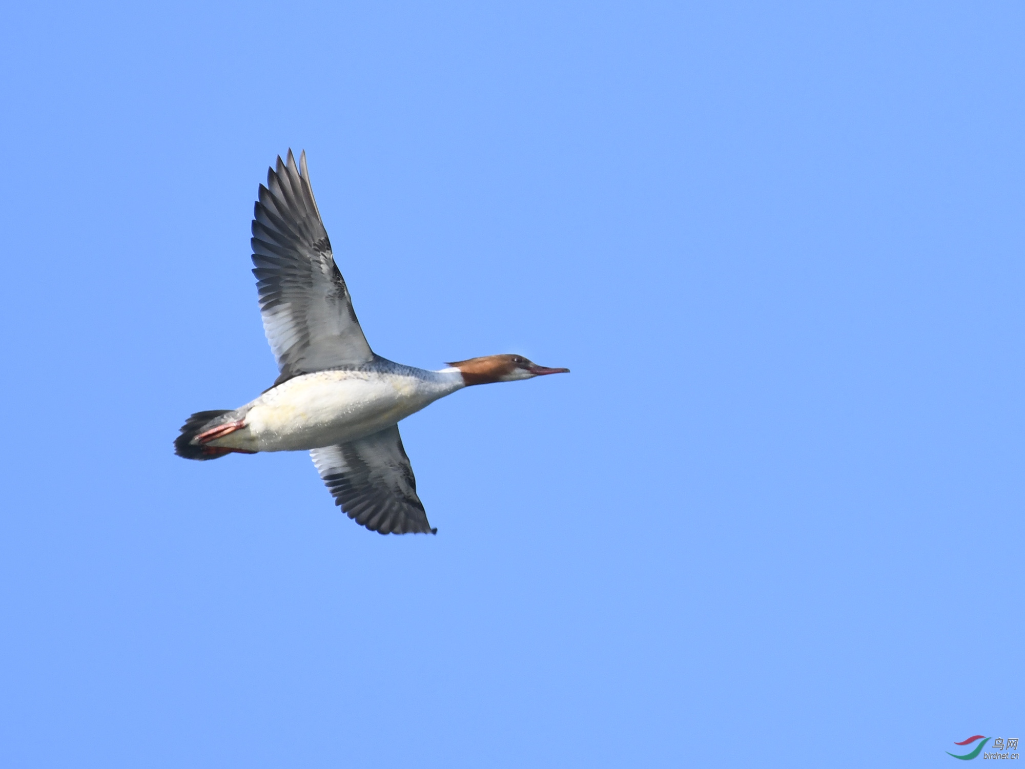 ������Ӱ 798����.jpg