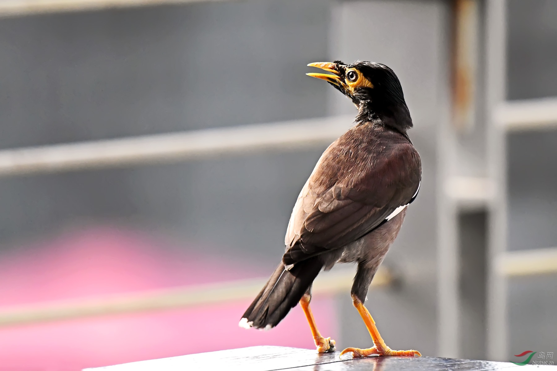 DSC_2504.jpg
