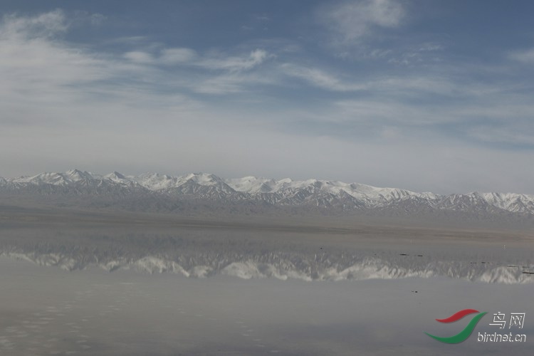 0S2A2550.jpg