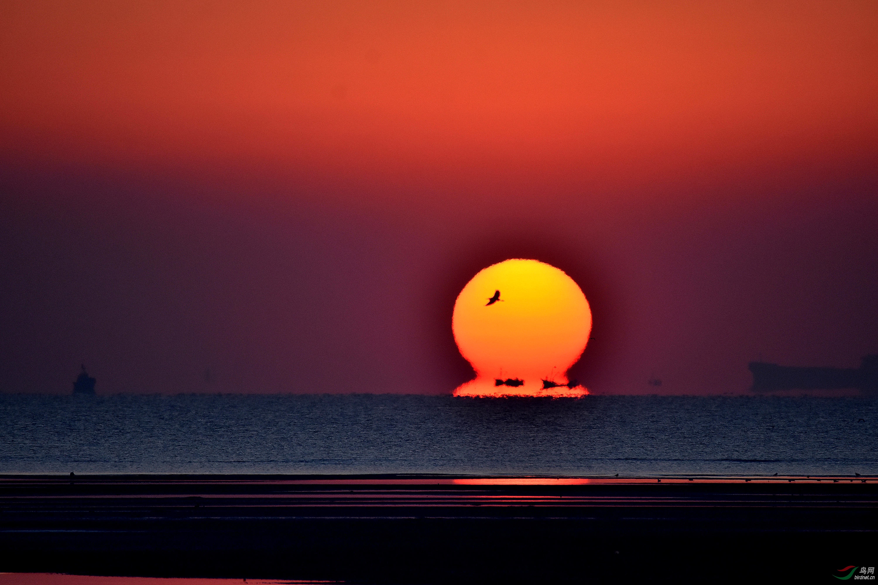 WeChat Image_20201115134528.jpg