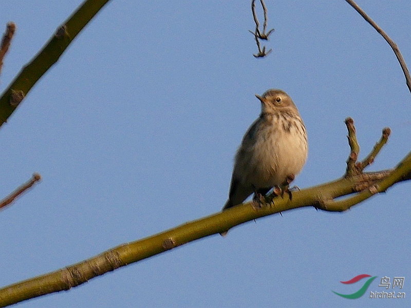 P5720174 - ����.JPG