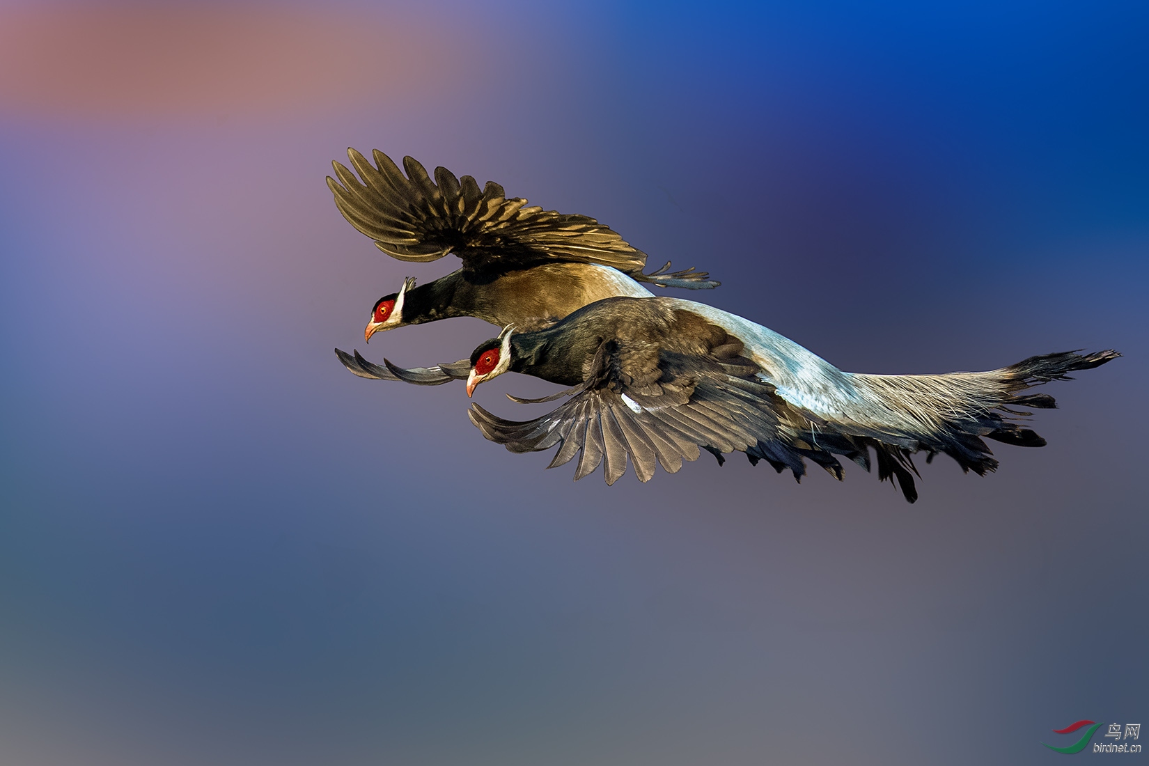 DSC_7511-a.jpg
