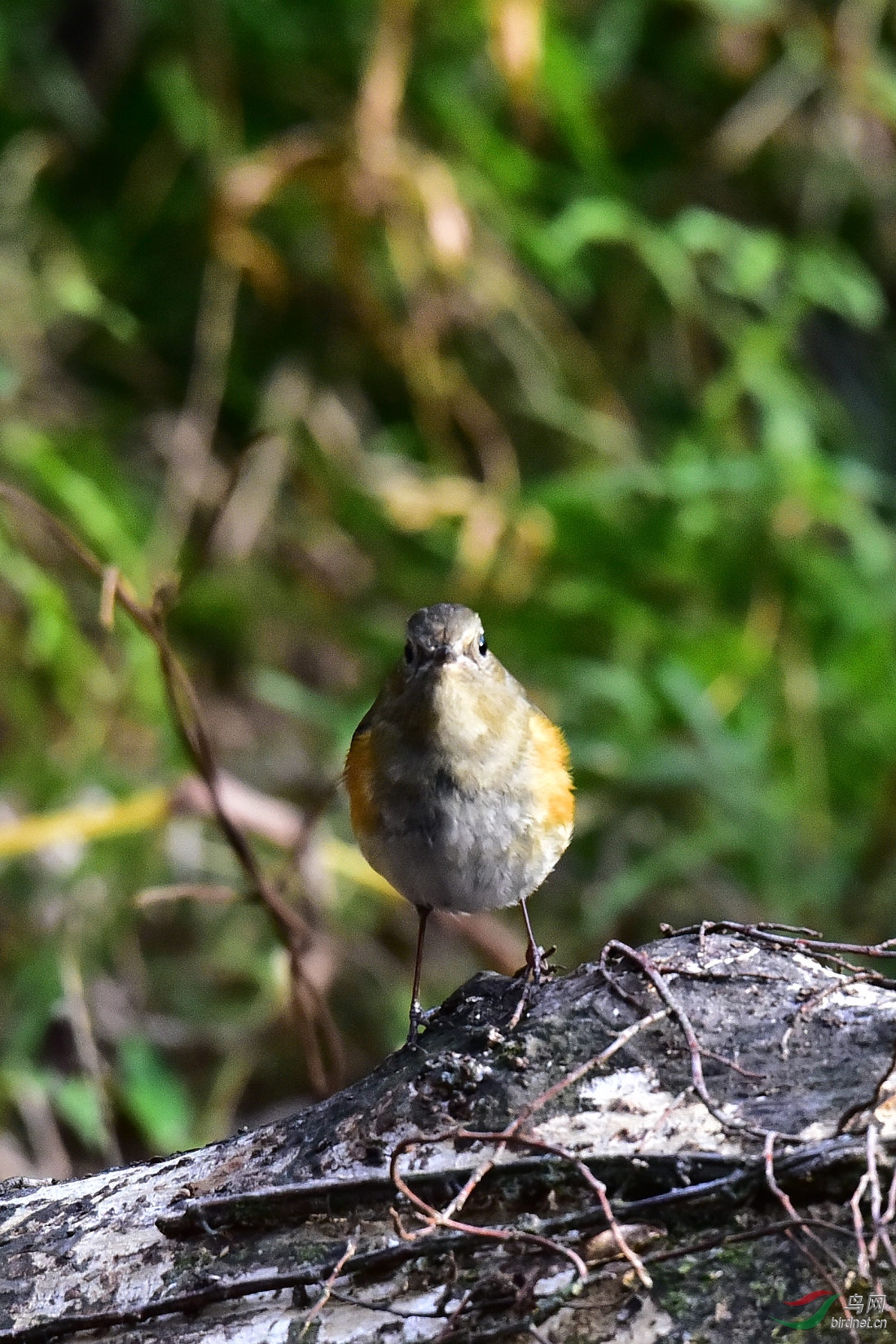 DSC_1001.JPG