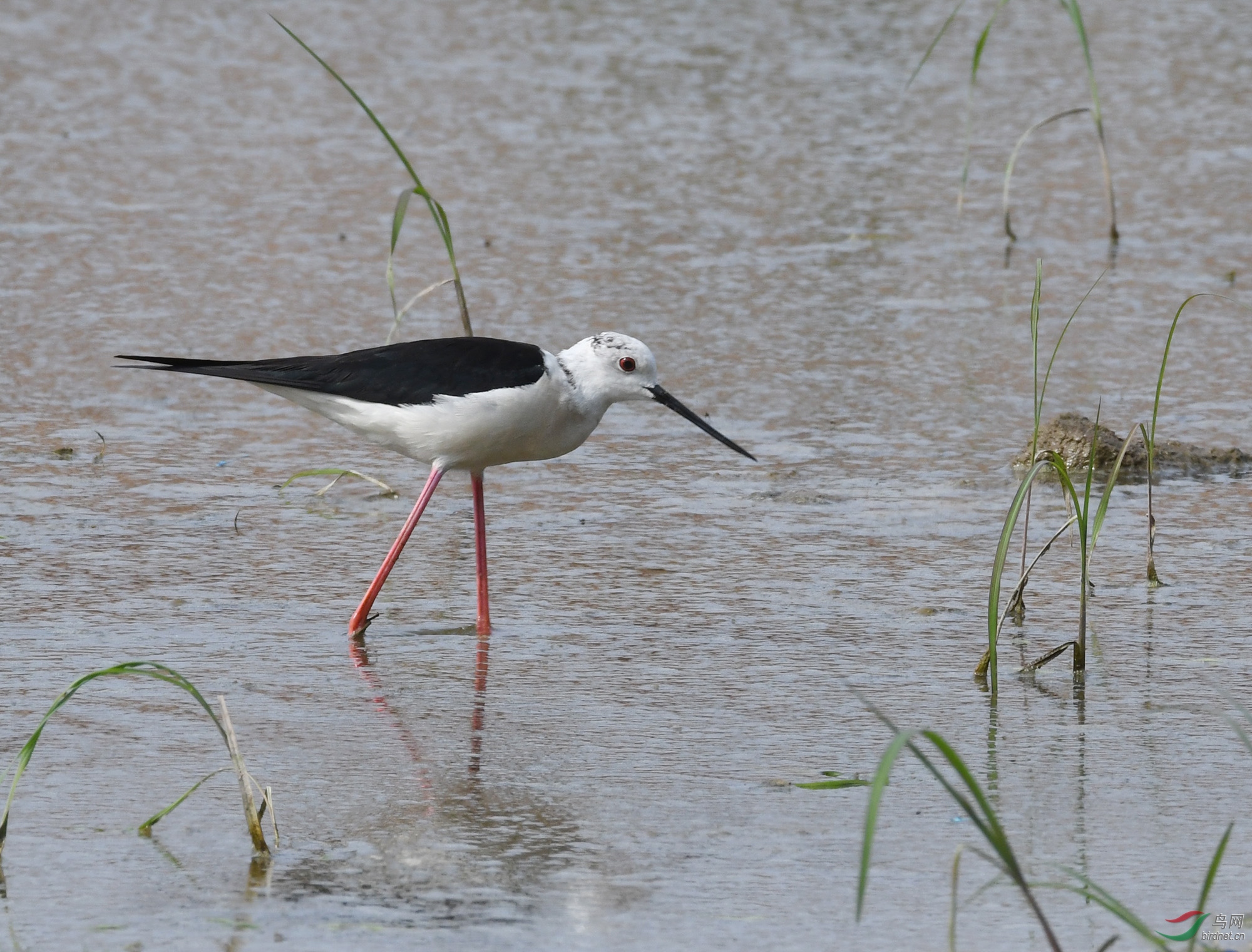 ������Ӱ 153����.jpg