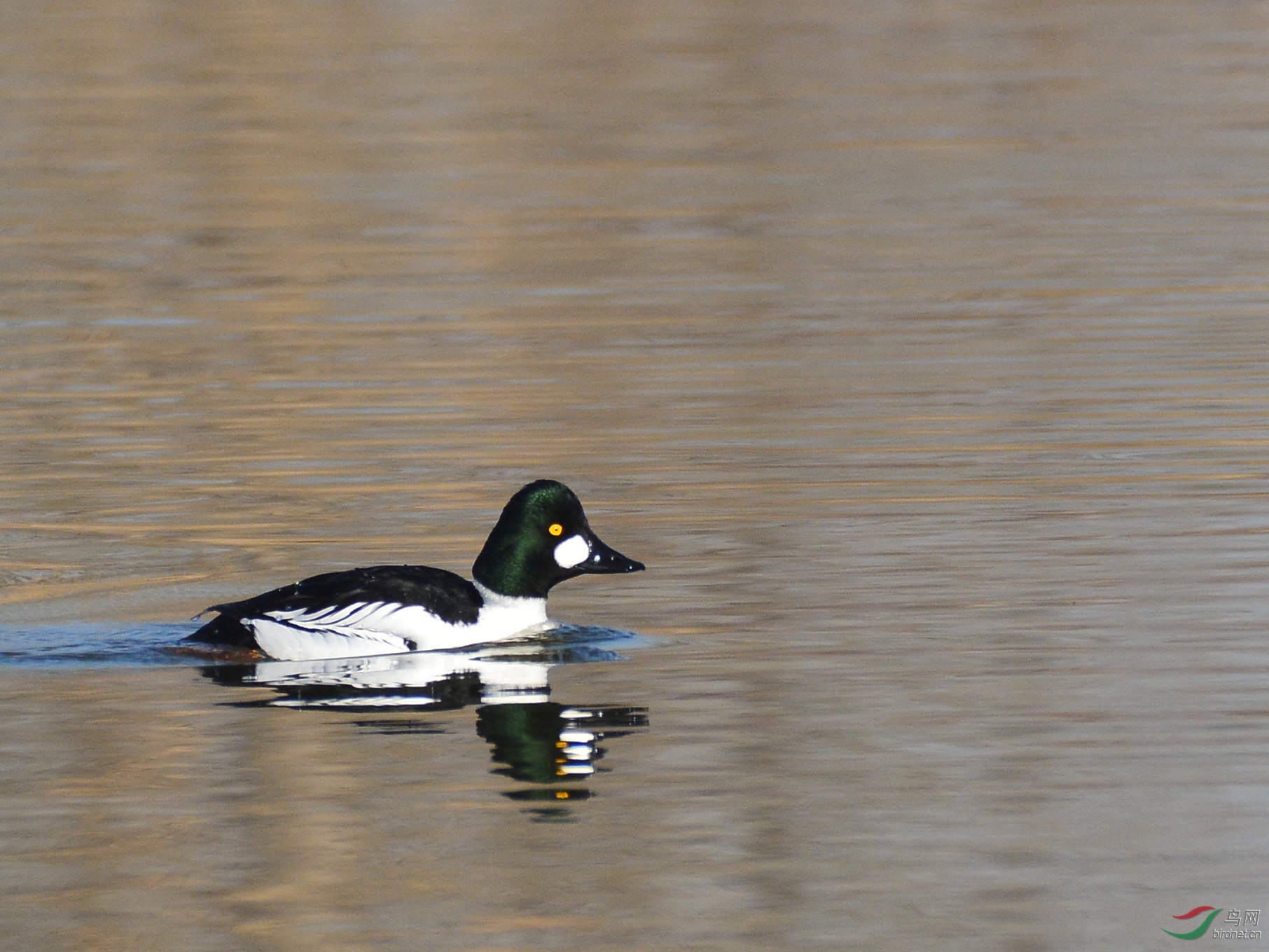 ������Ӱ 896����.jpg