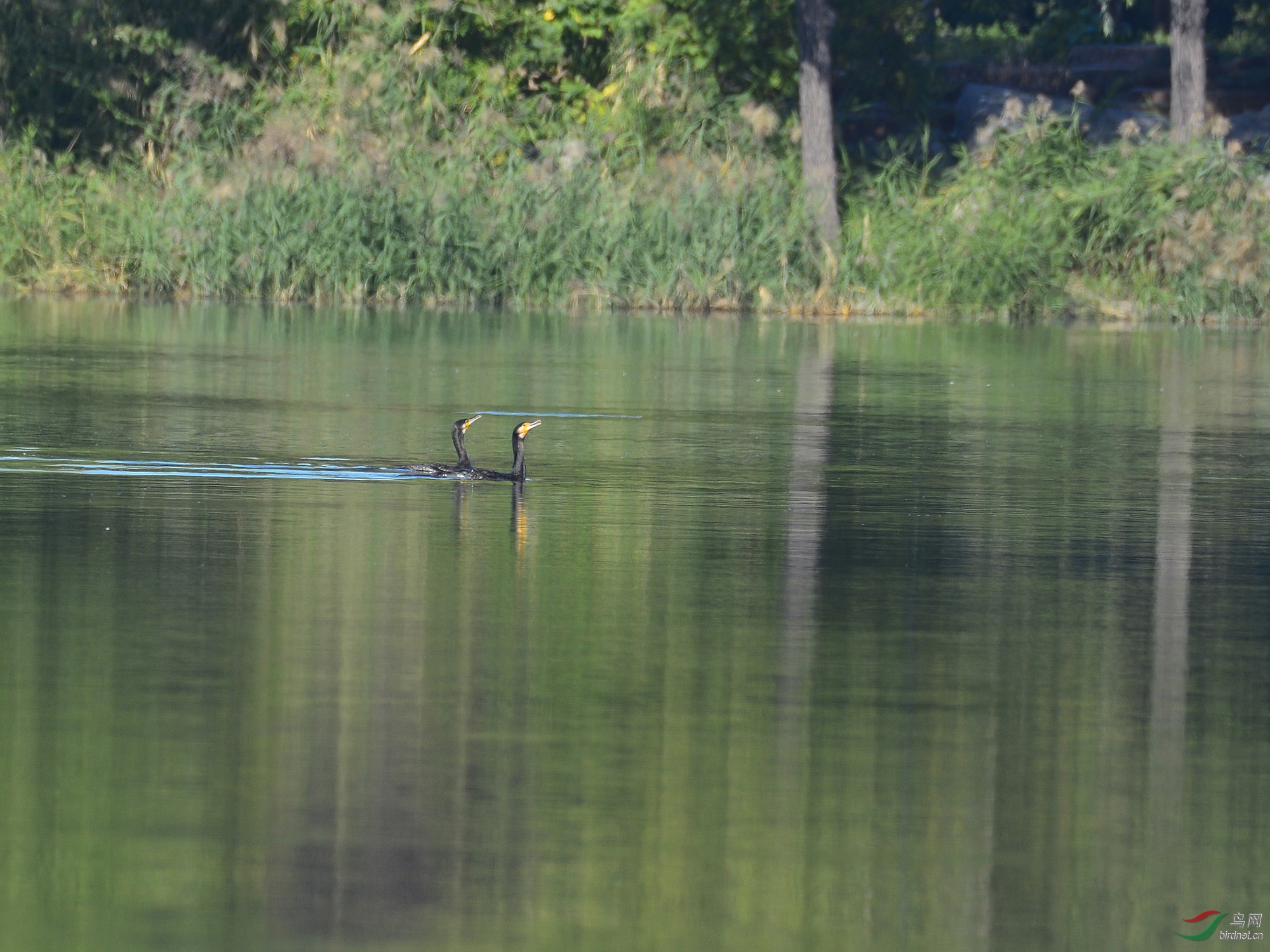 ������Ӱ 1001����.jpg