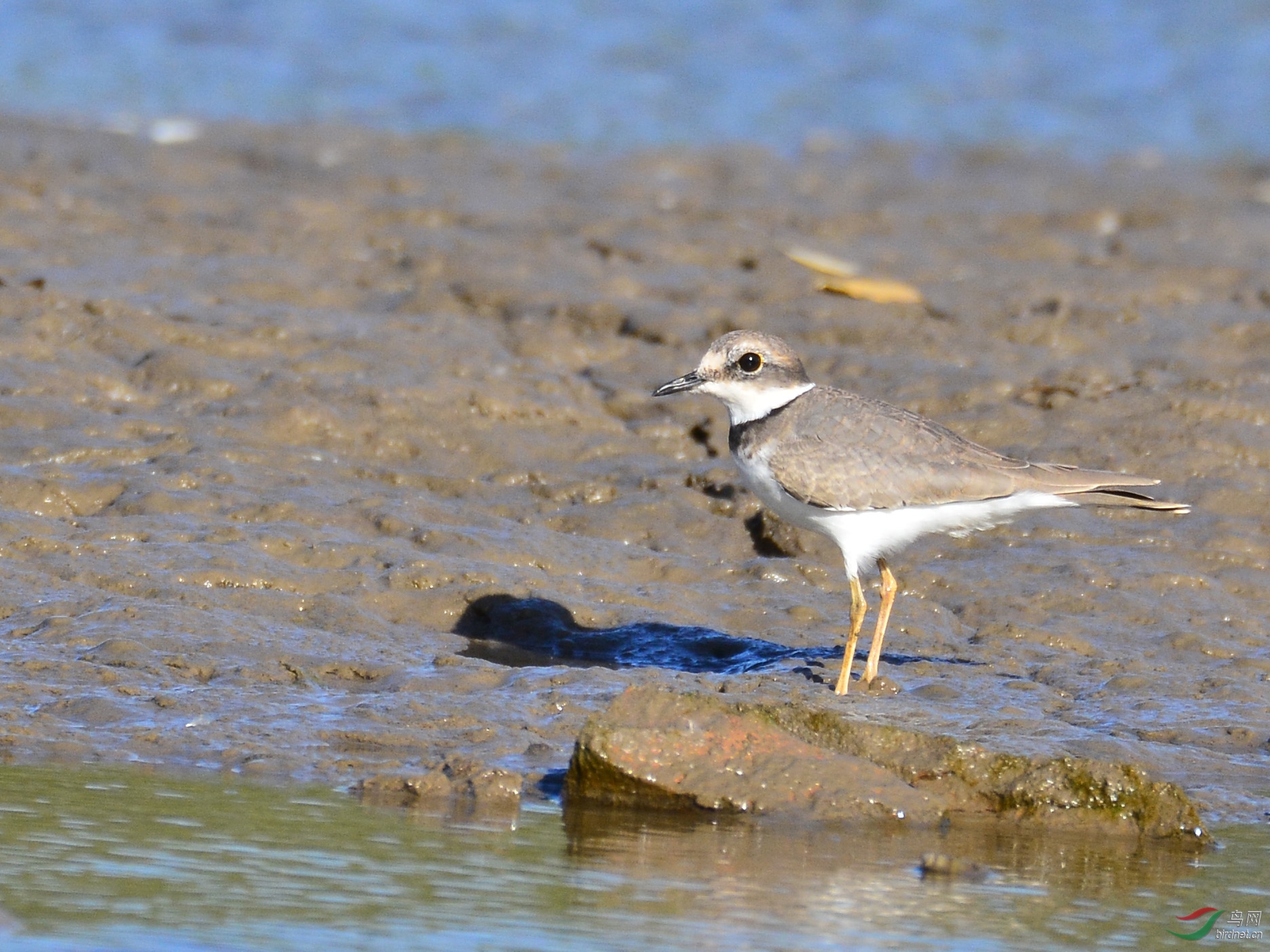 ������Ӱ 1363����.jpg