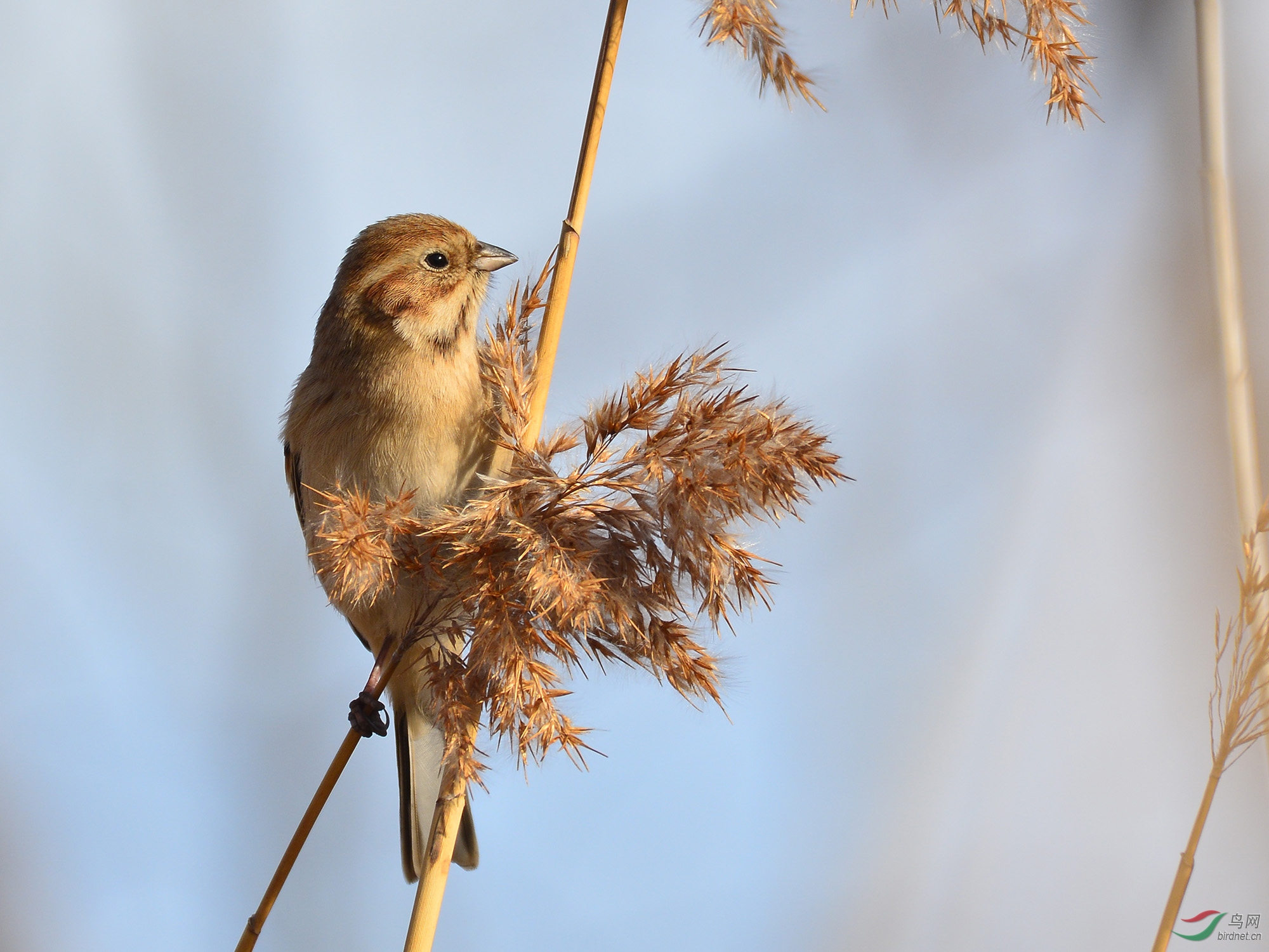 ������Ӱ 1499����.jpg