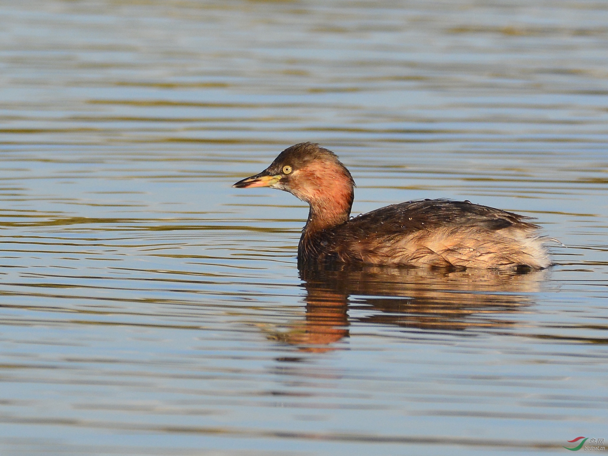 ������Ӱ 1608����.jpg