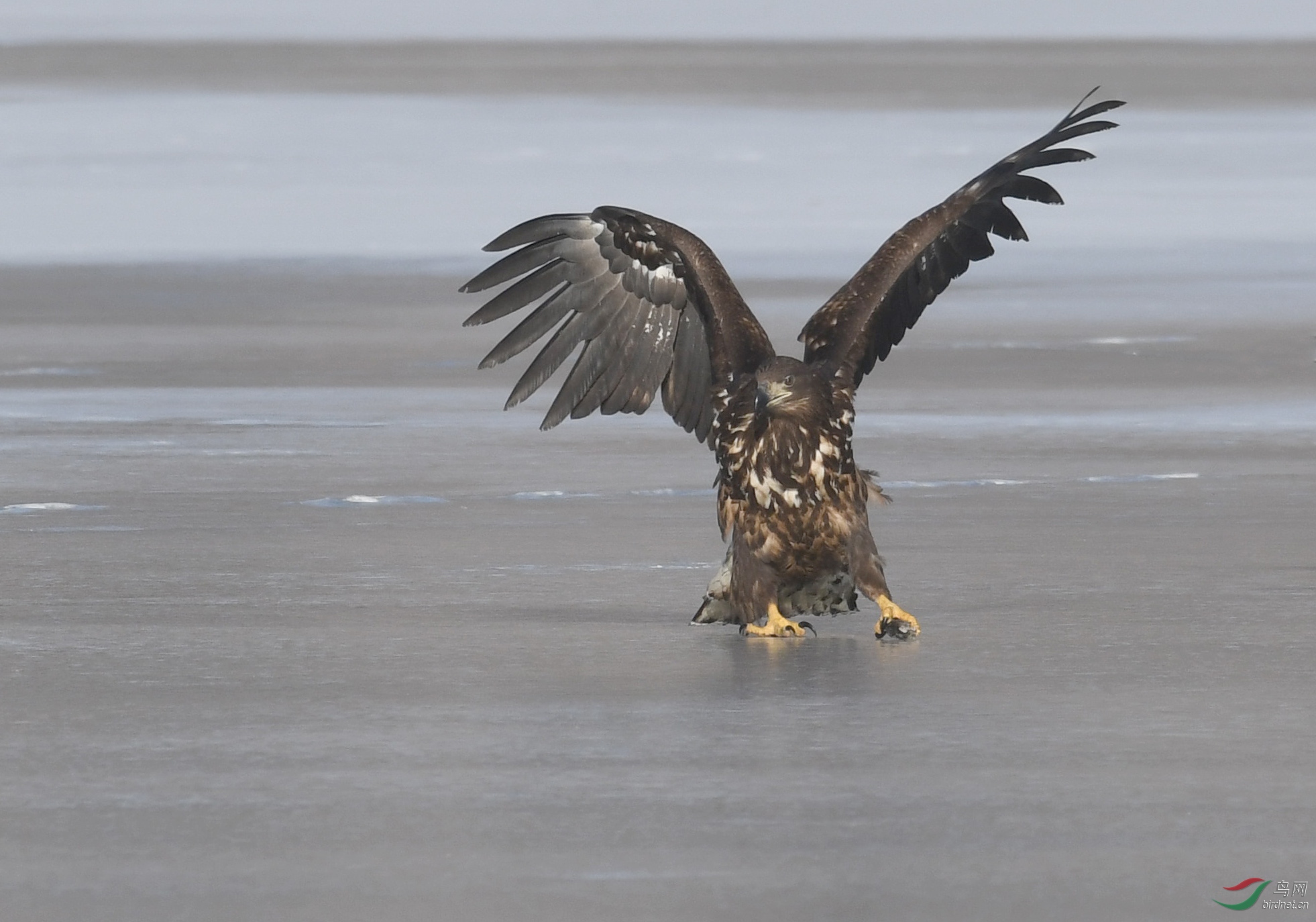 ������Ӱ 239����.jpg