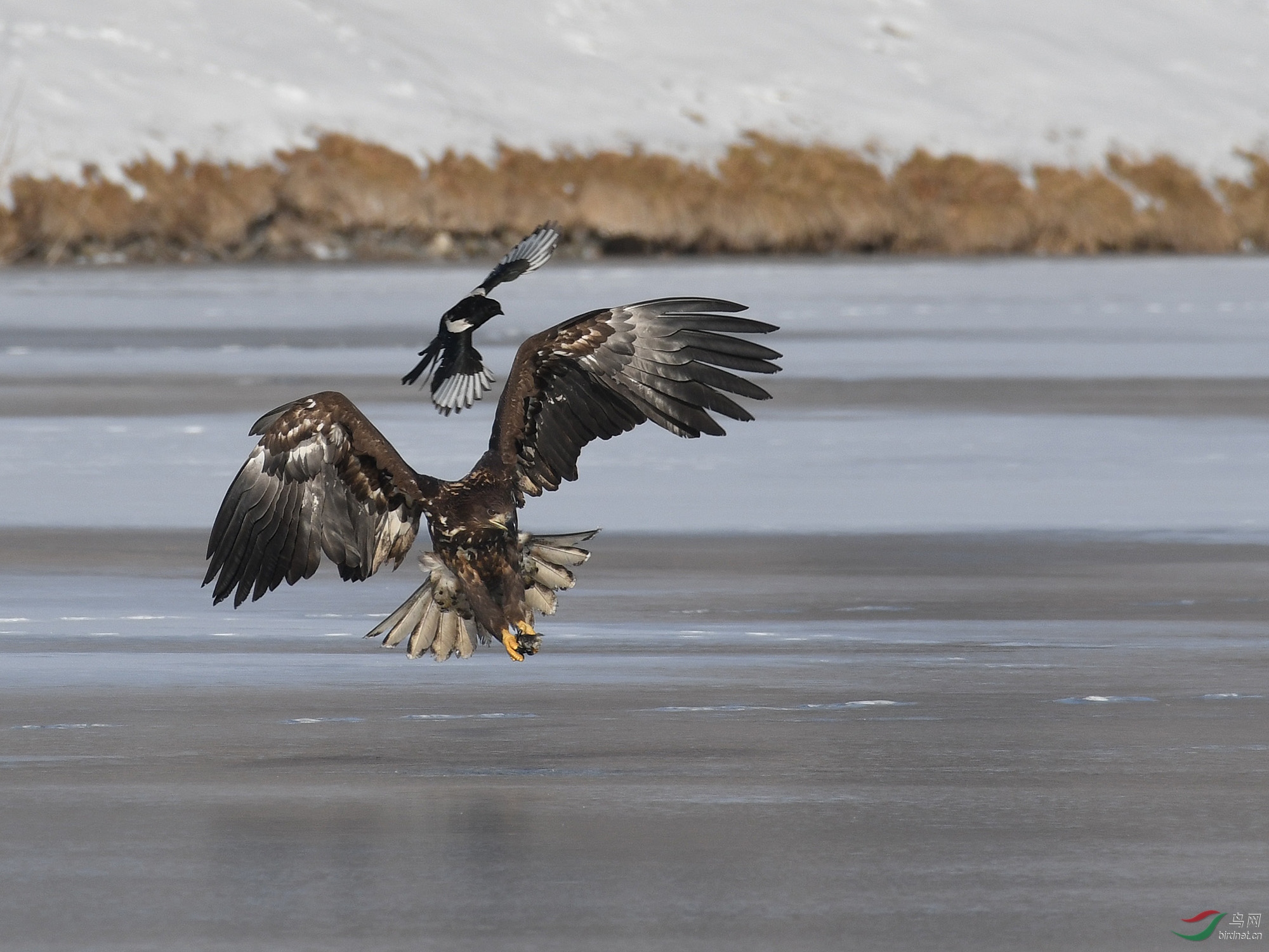 ������Ӱ 230����.jpg