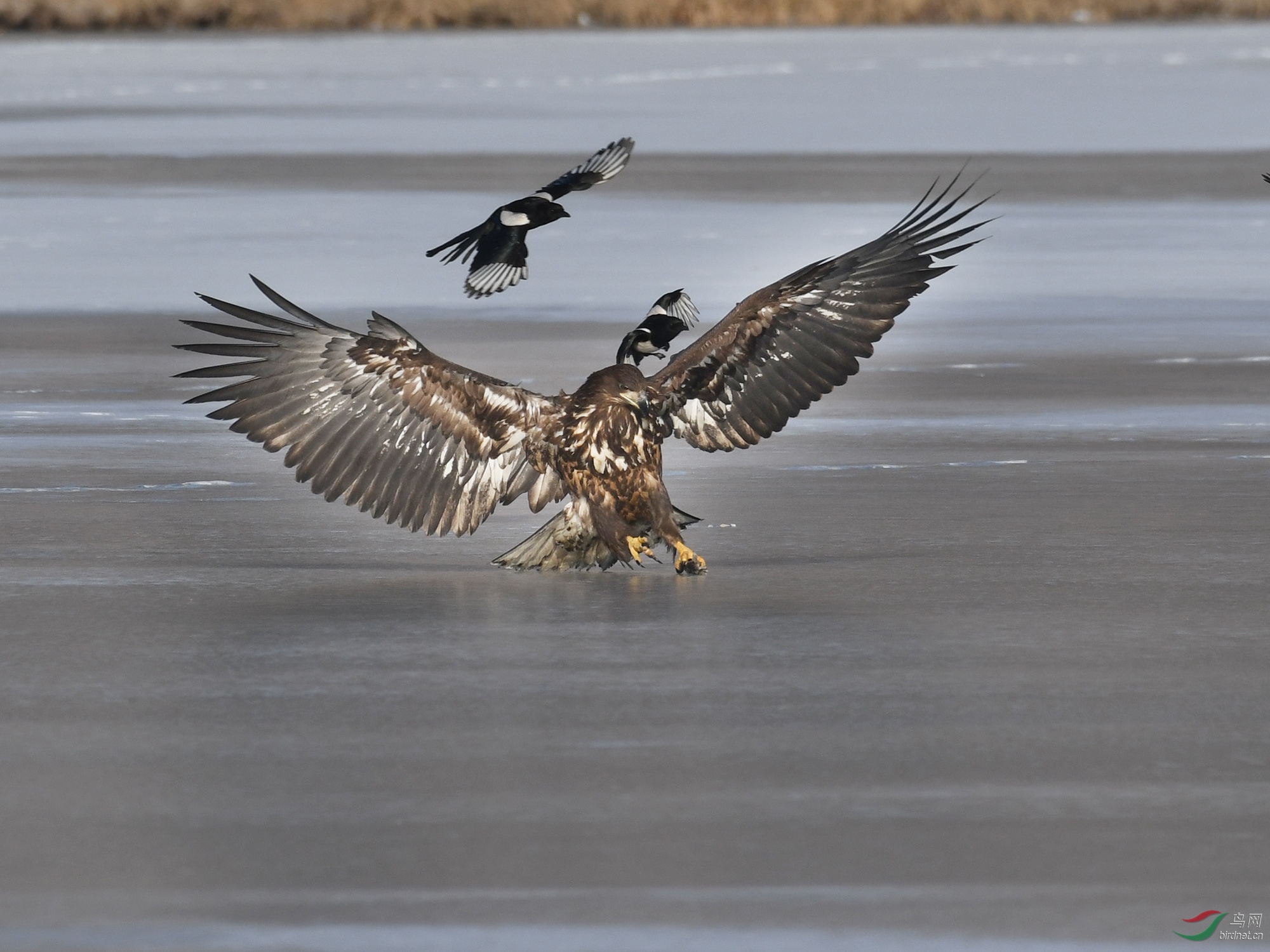 ������Ӱ 237����.jpg