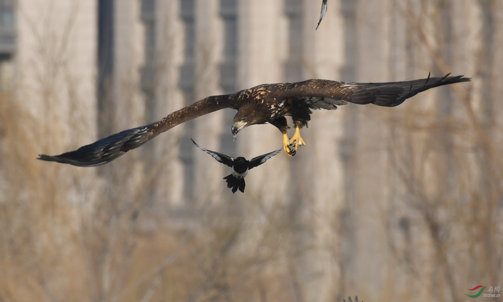 ������Ӱ 336����.jpg