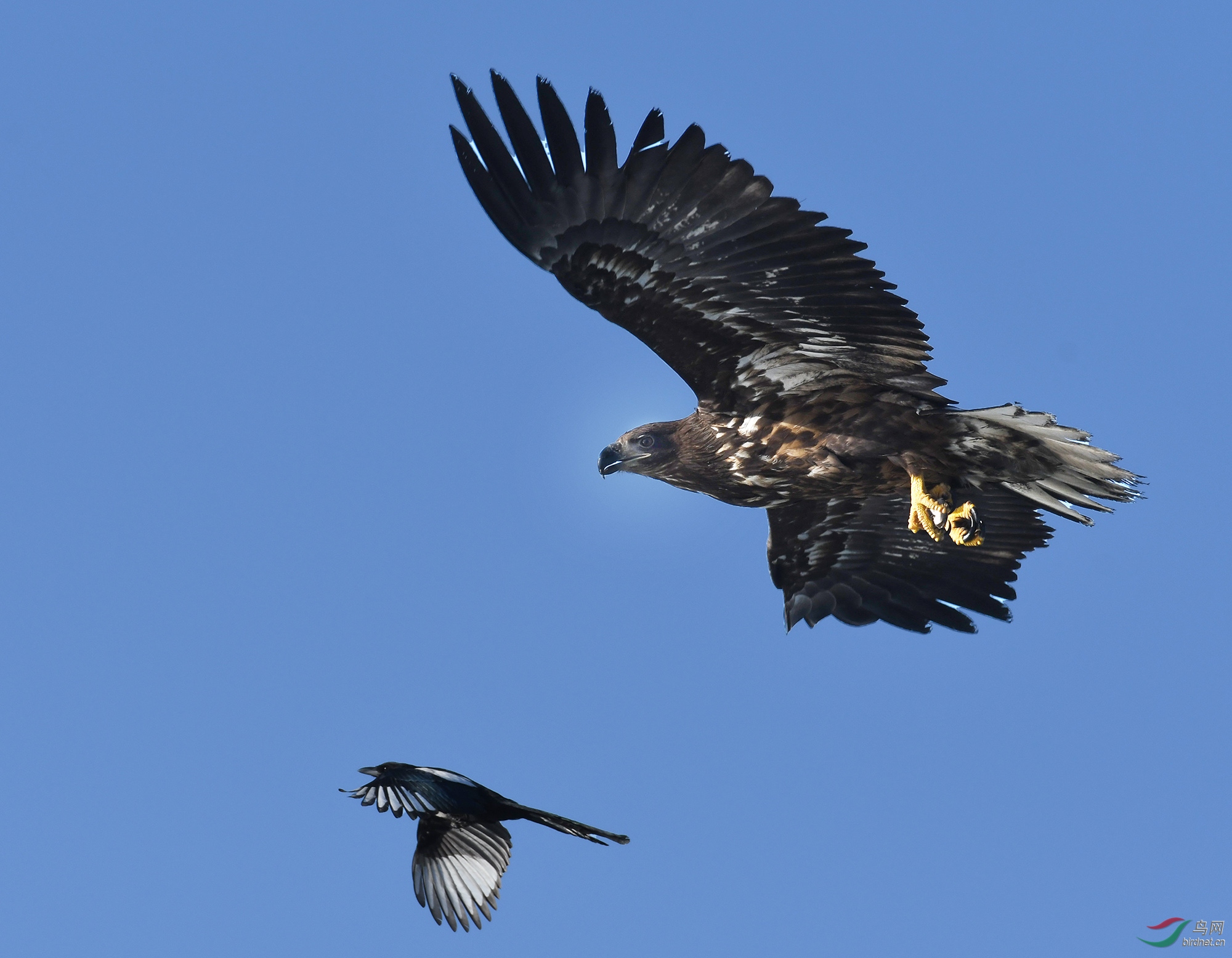 ������Ӱ 378����.jpg