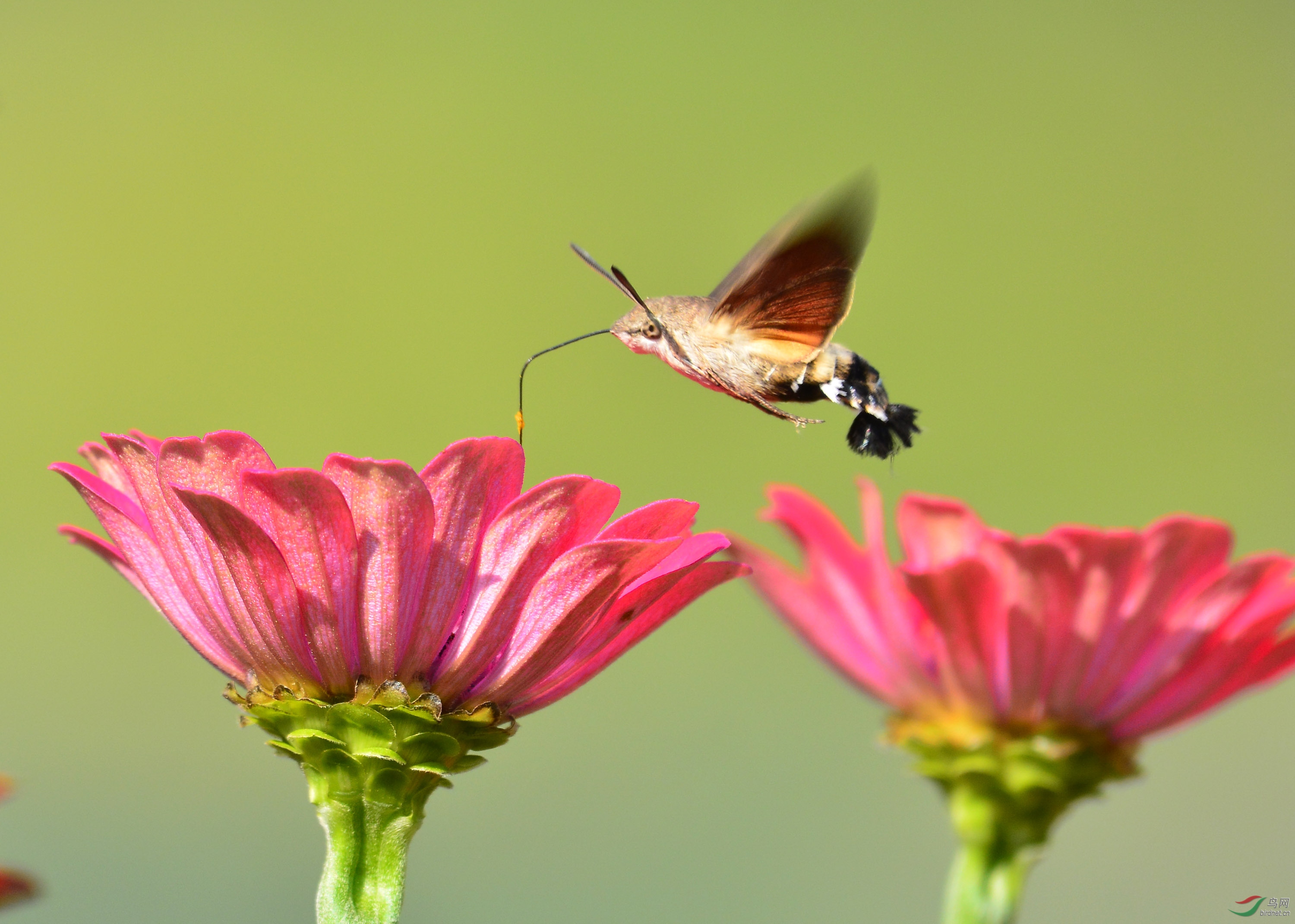 ������Ӱ 112 ����.jpg