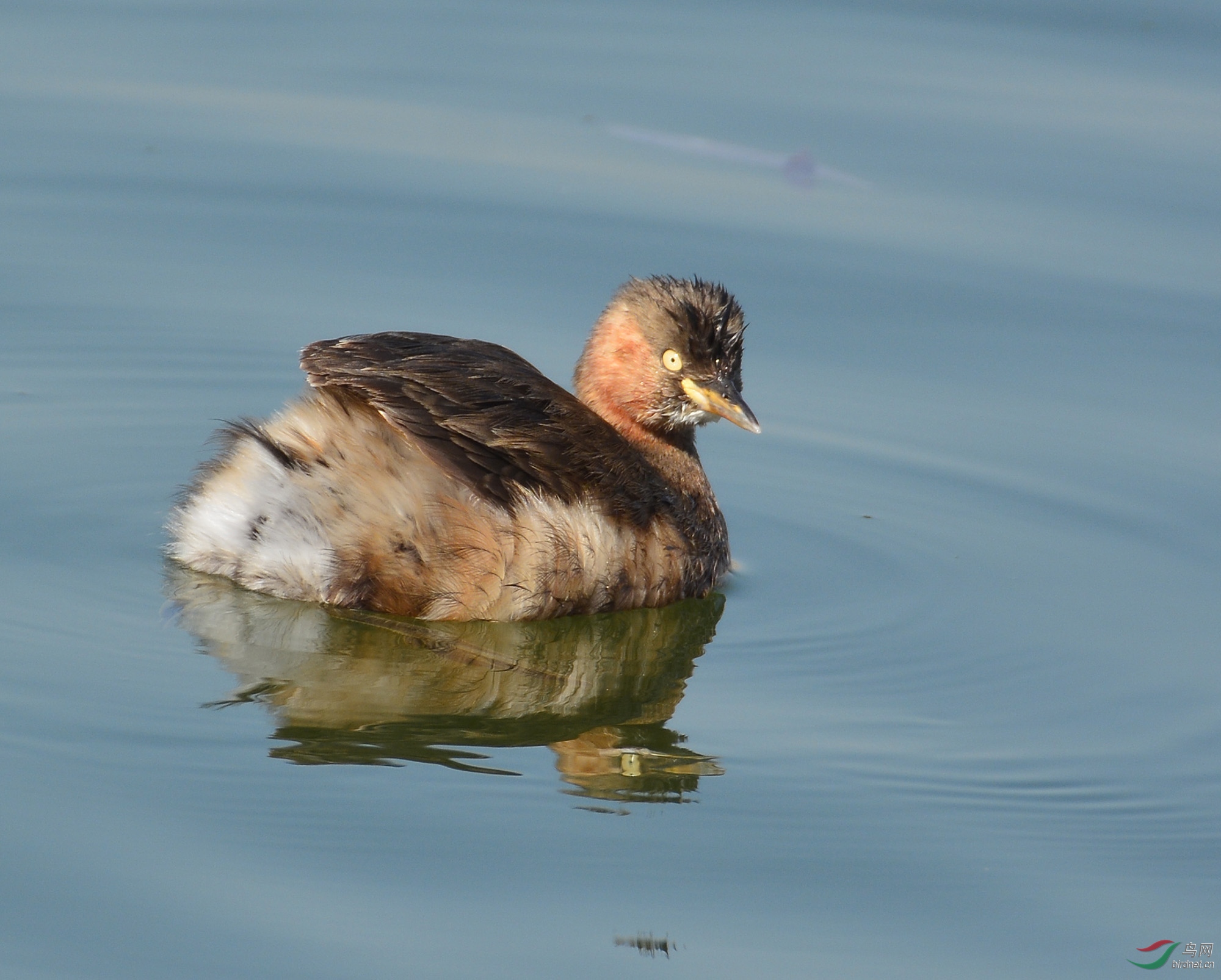 ������Ӱ 1269����.jpg