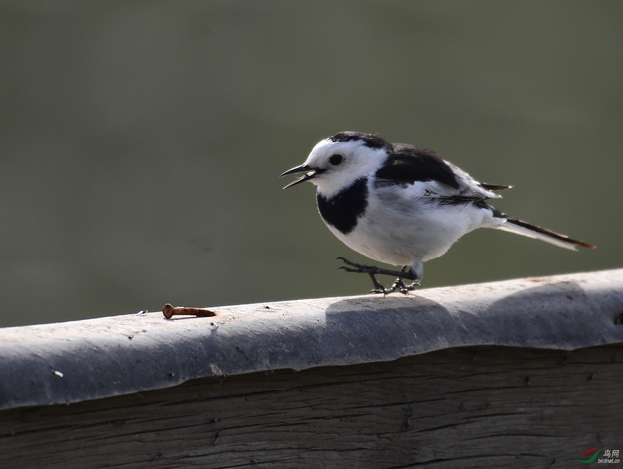 ������Ӱ 636����.jpg