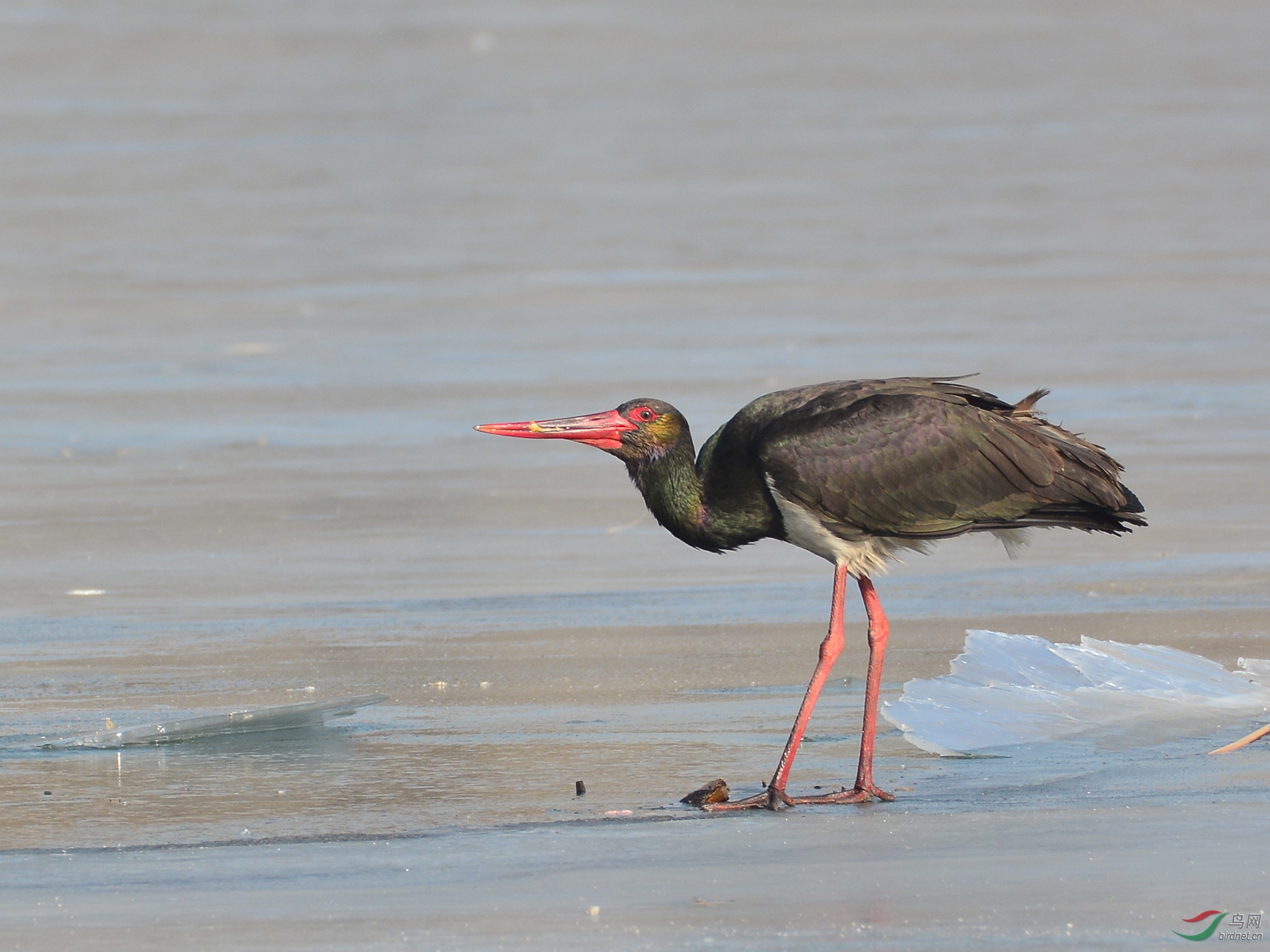 ������Ӱ 2337����.jpg