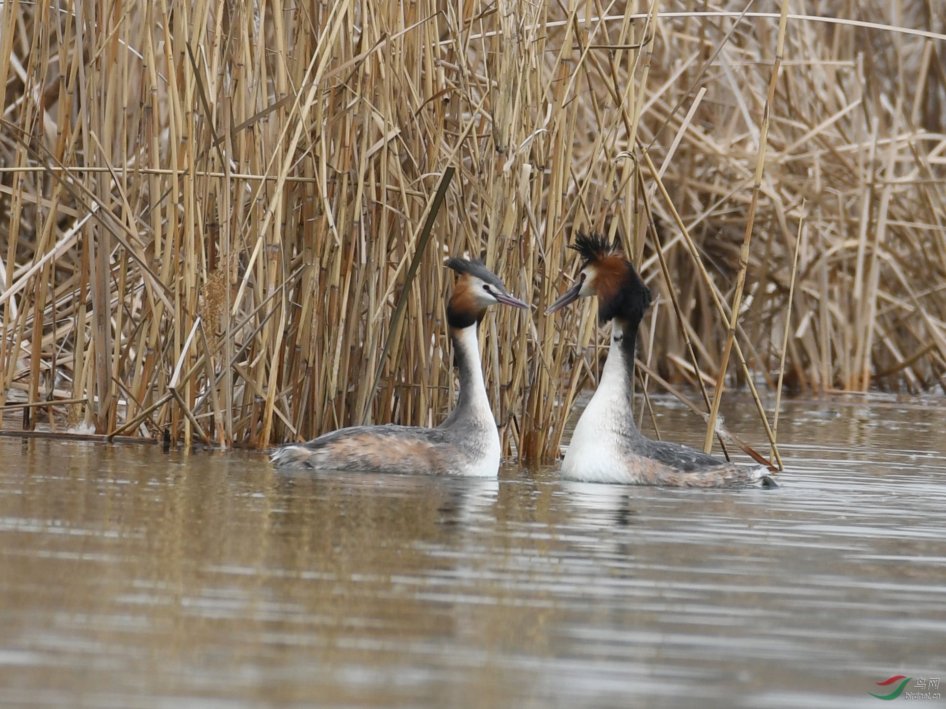 ������Ӱ 026����.jpg