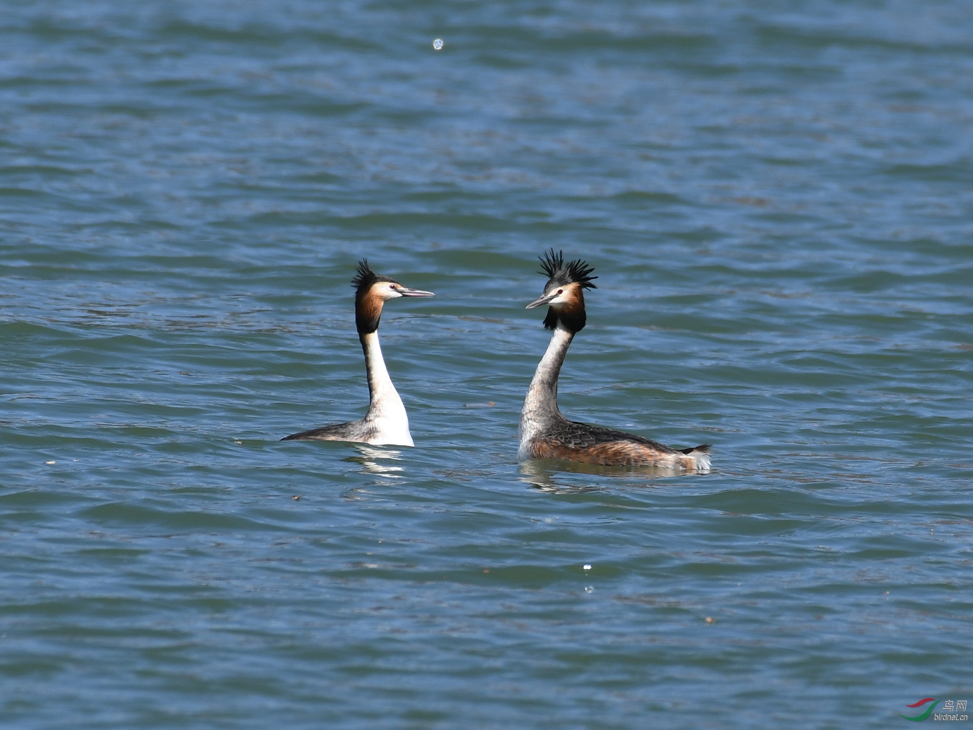 ������Ӱ 045����.jpg