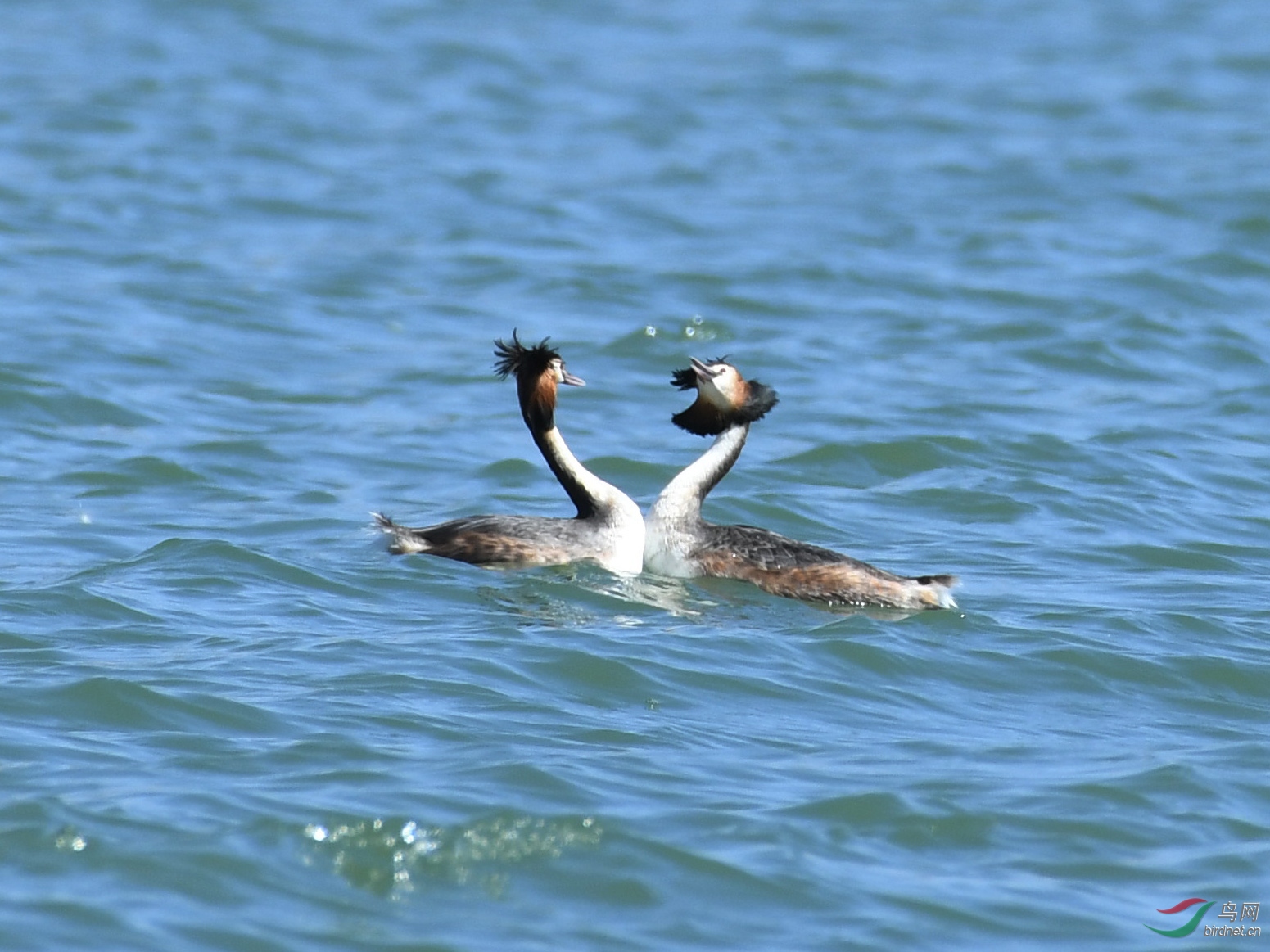 ������Ӱ 084����.jpg