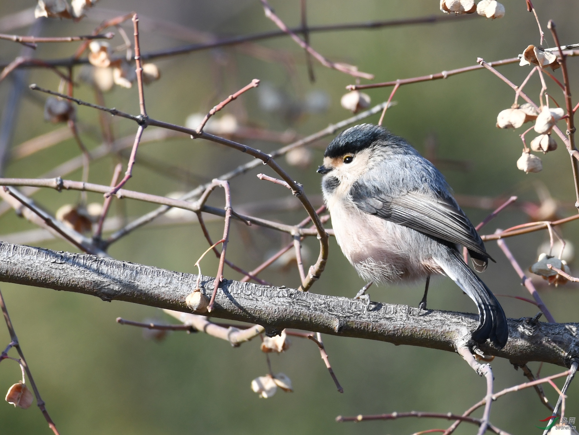 ������Ӱ 316����.jpg