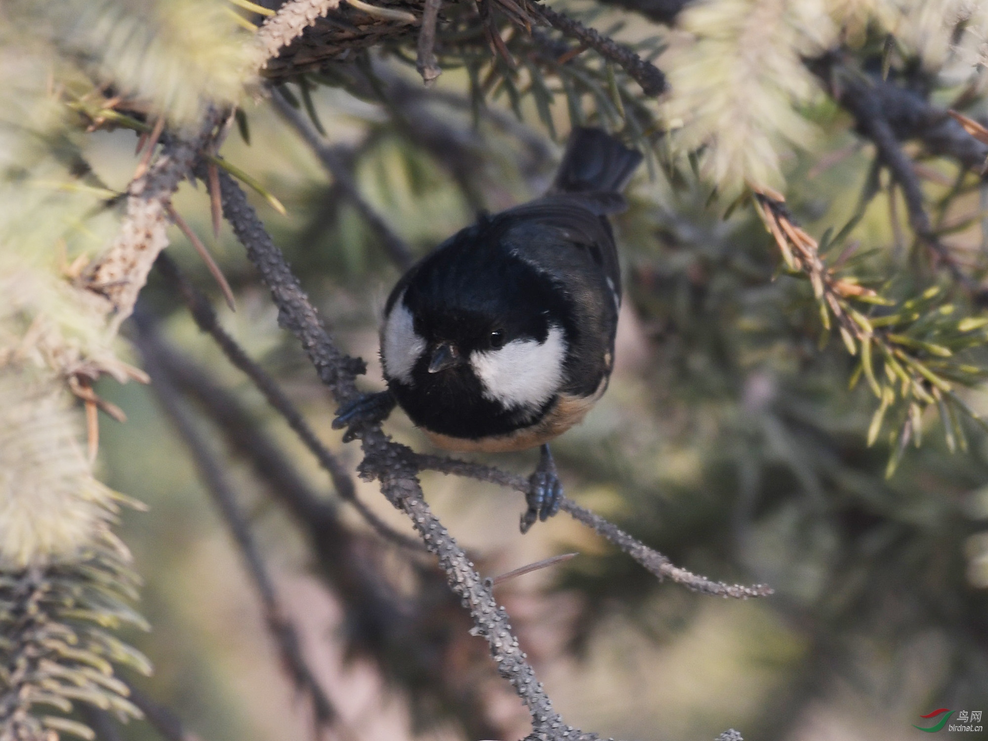 ������Ӱ 1260����.jpg