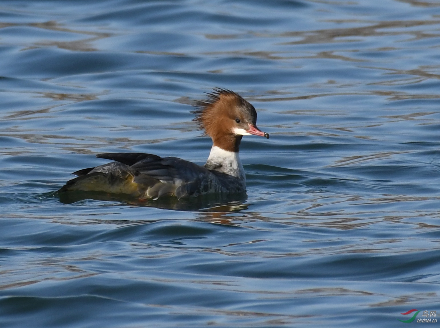 ������Ӱ 001����.jpg