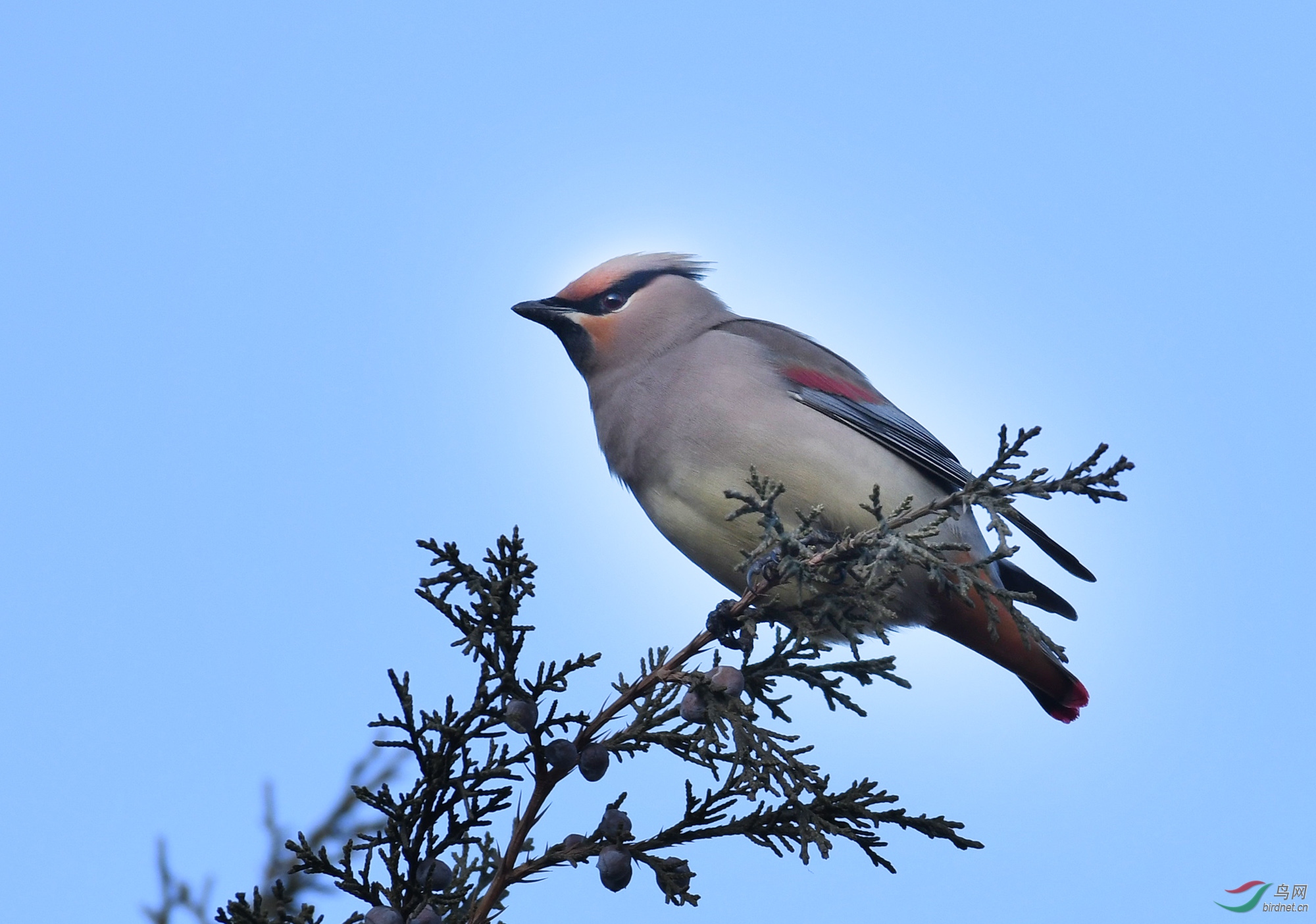 ������Ӱ 898����.jpg