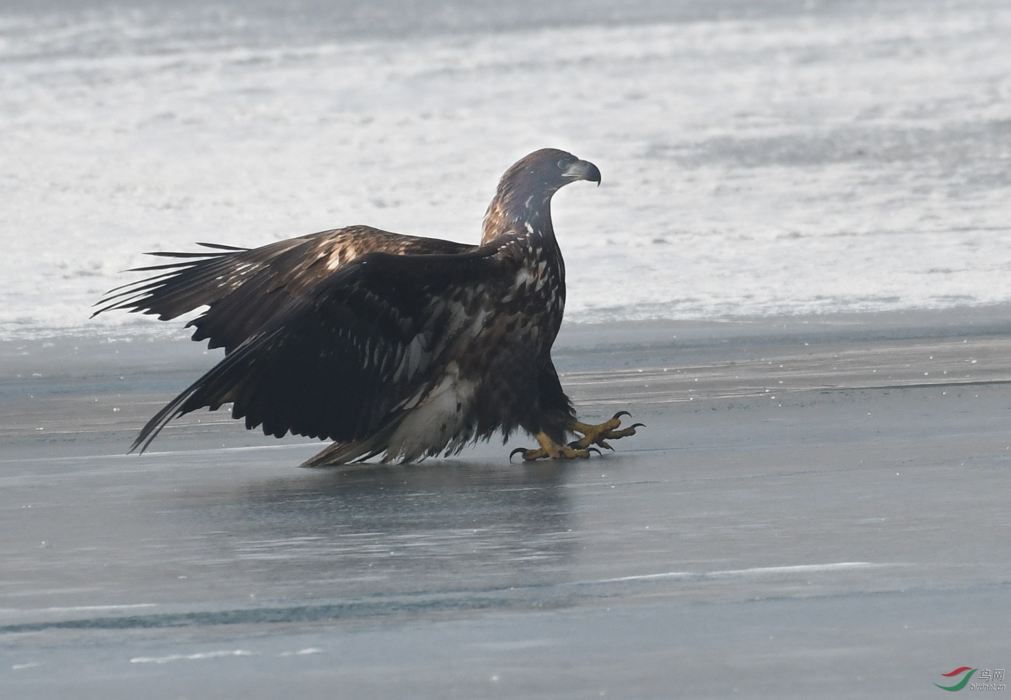 ������Ӱ 235����.jpg