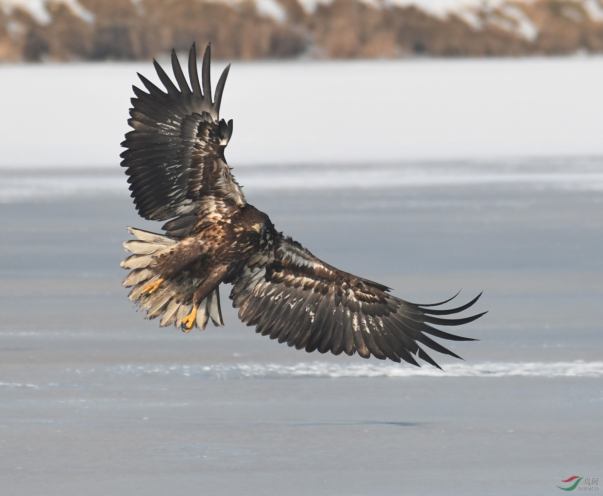 ������Ӱ 354����.jpg