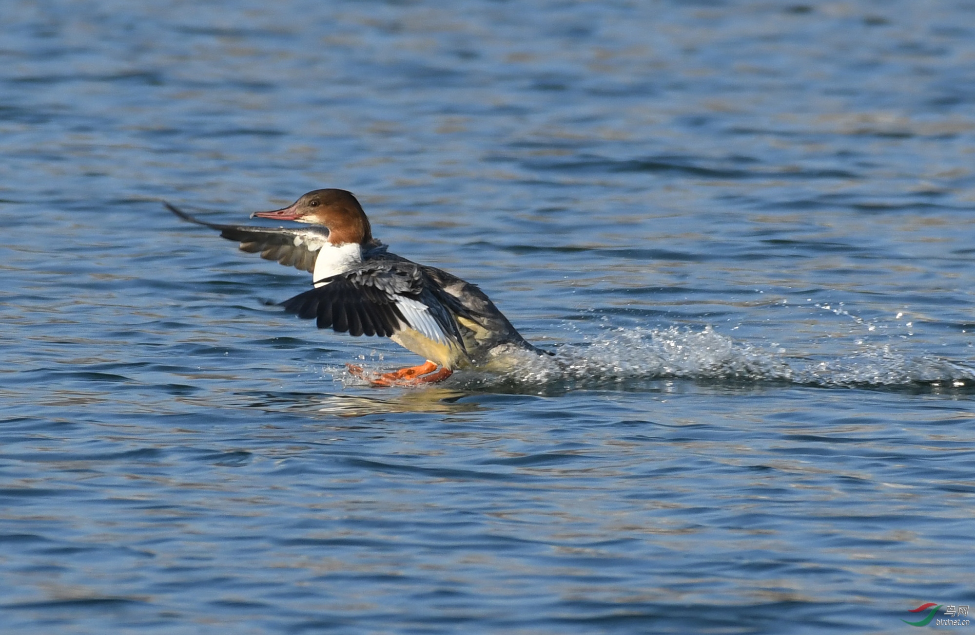 ������Ӱ 641����.jpg