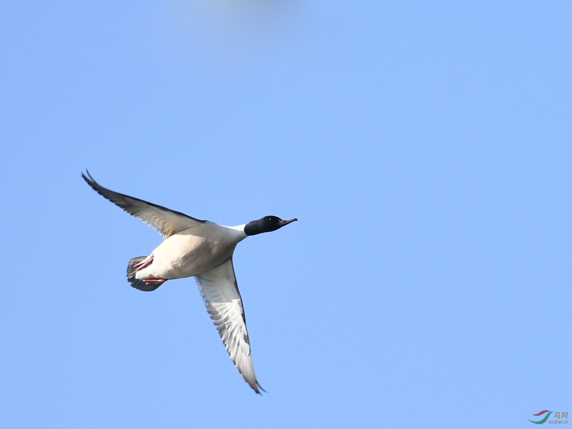 ������Ӱ 821����.jpg