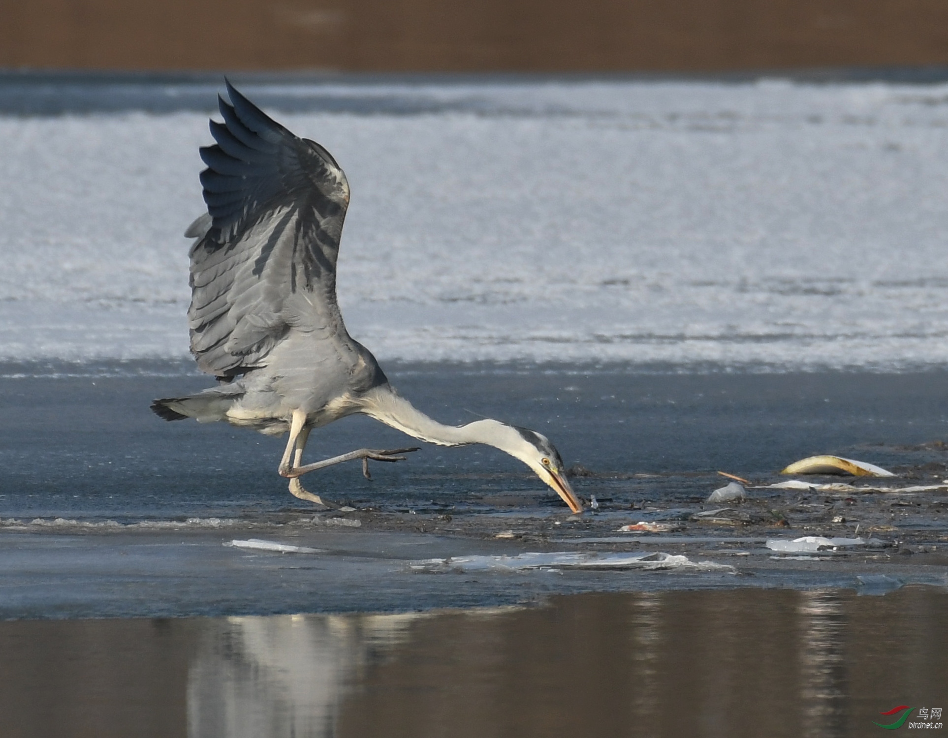 ������Ӱ 880����.jpg