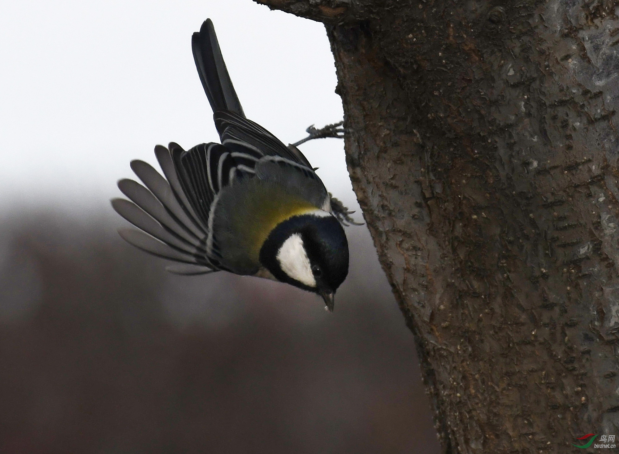 ������Ӱ 1059����.jpg