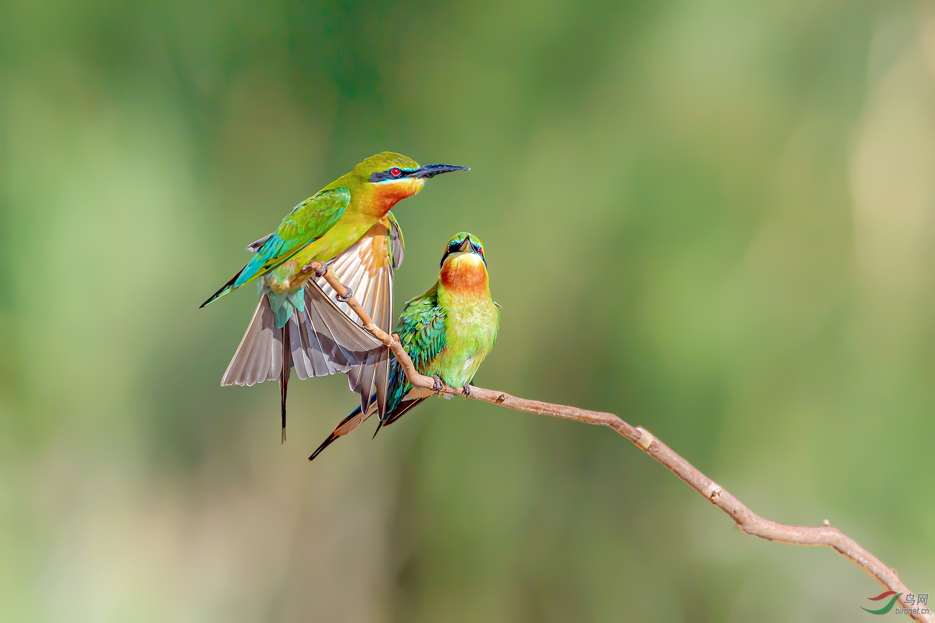 20201116һ�������仢.jpg