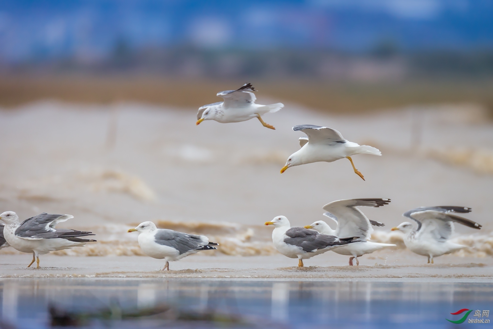 ϲ�� ��ʦ�����ڸ���ʡ������.jpg