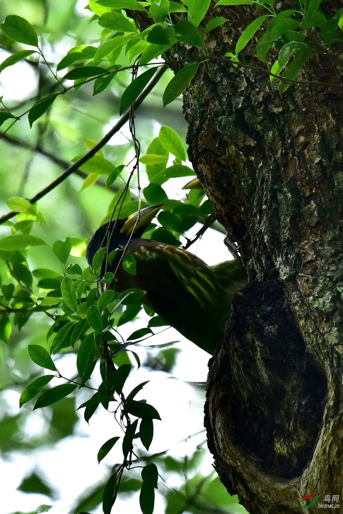 DSC_0127.JPG