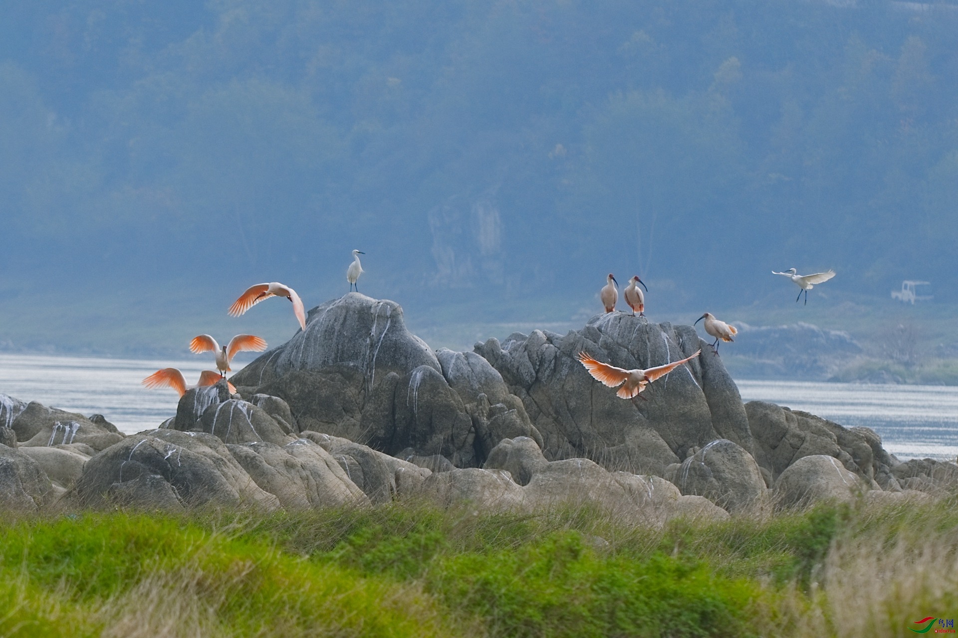 DSC_0607-Exposure (1)_����.jpg