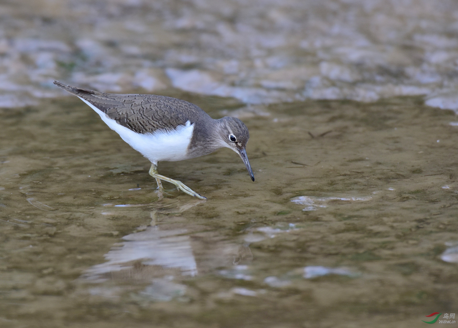D8I_5980.jpg