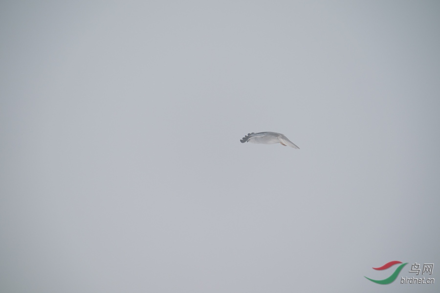 DSC00785.jpg