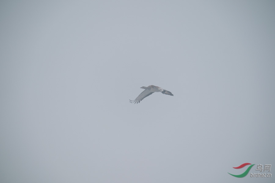DSC00747.jpg