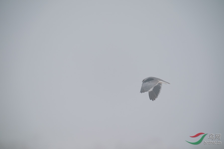 DSC00795.jpg