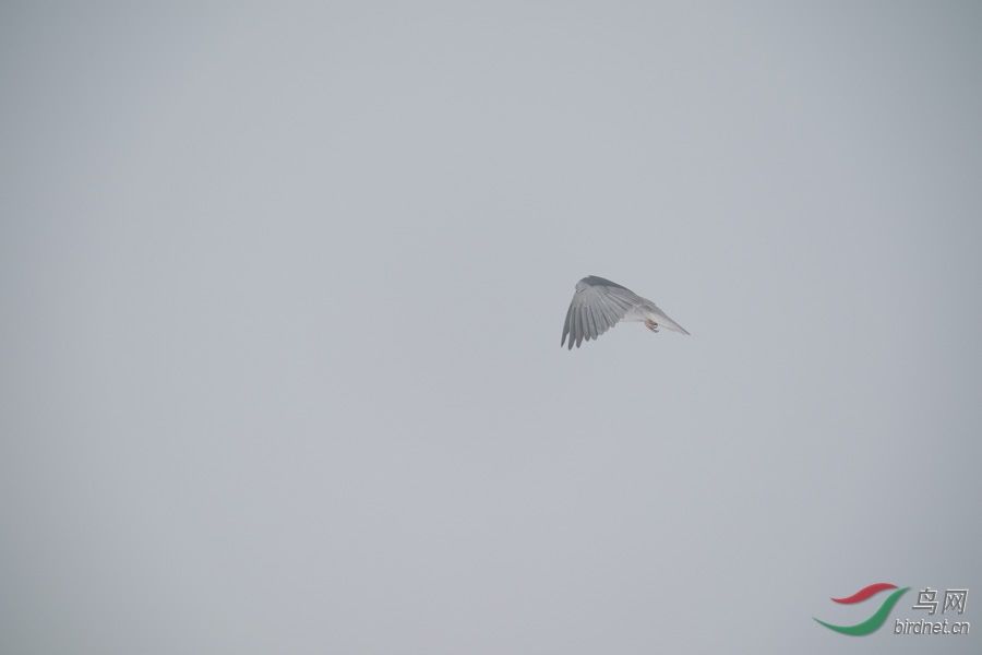 DSC00782.jpg
