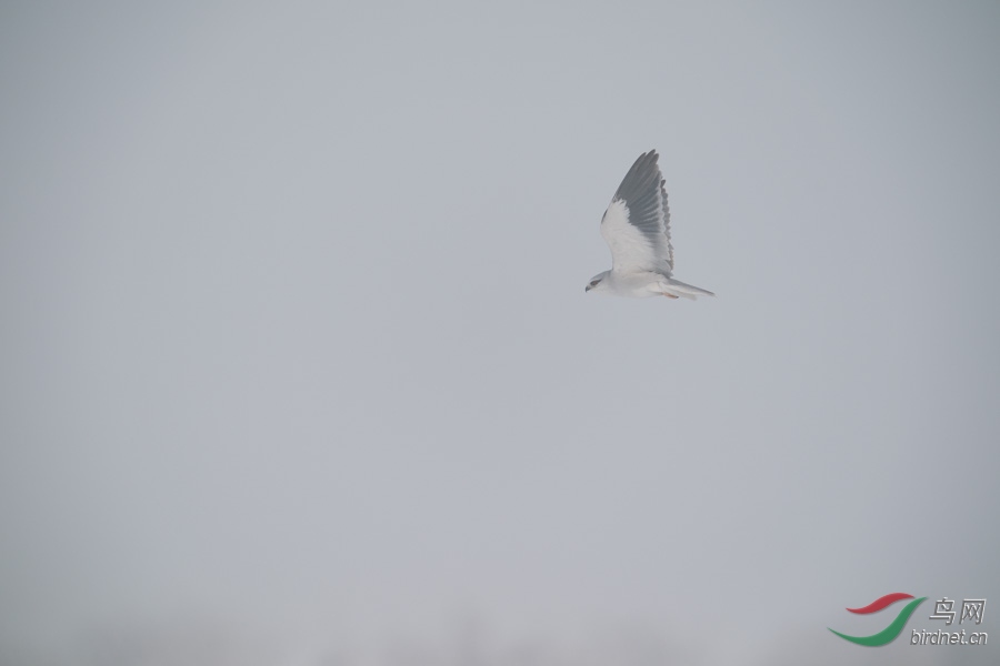 DSC00787.jpg