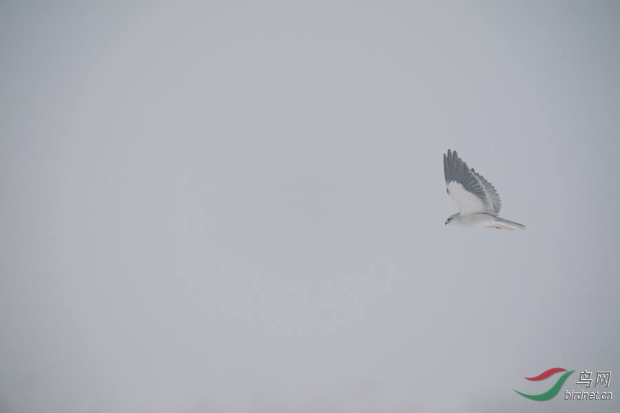DSC00793.jpg