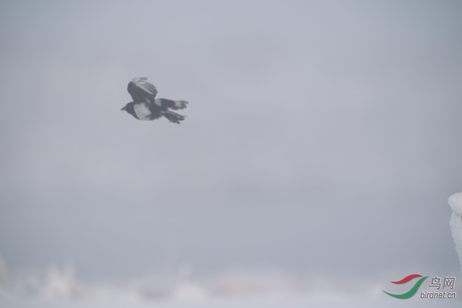 DSC00715.jpg