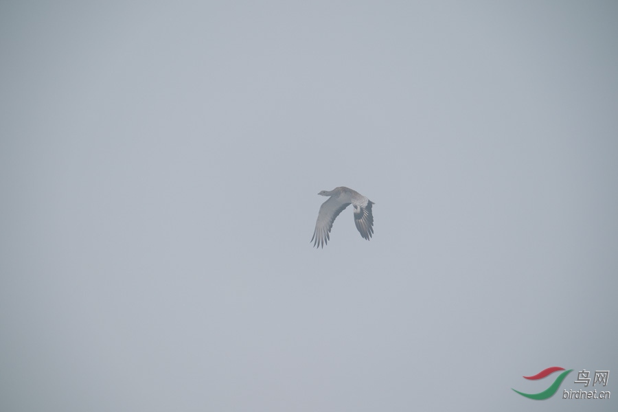DSC00748.jpg