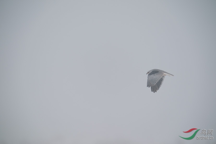DSC00790.jpg