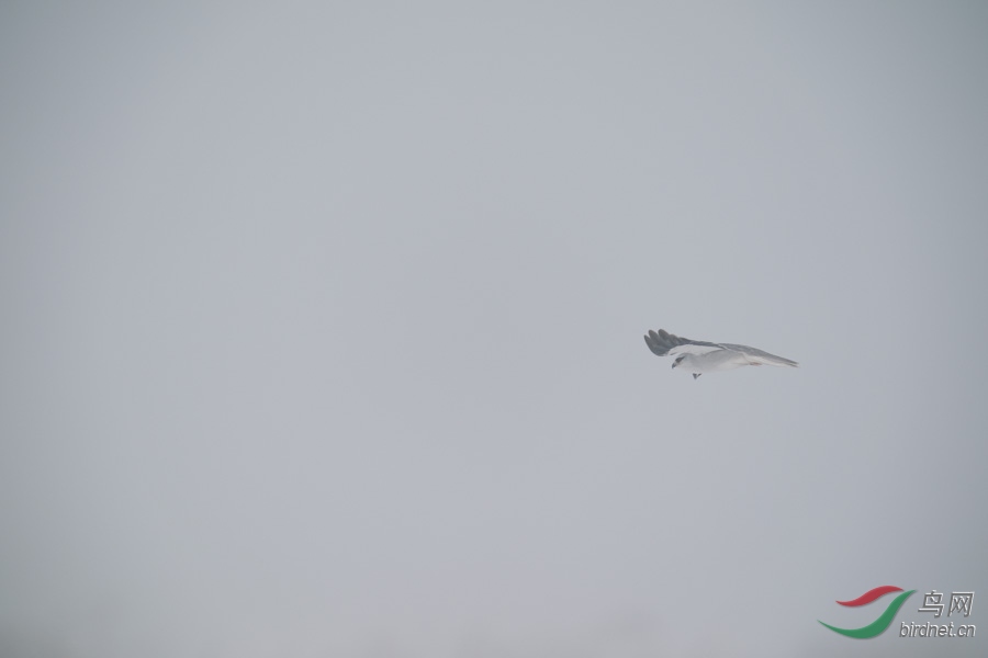 DSC00794.jpg